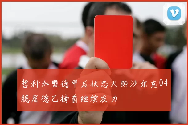 哲科加盟德甲后状态火热沙尔克04稳居德乙榜首继续发力